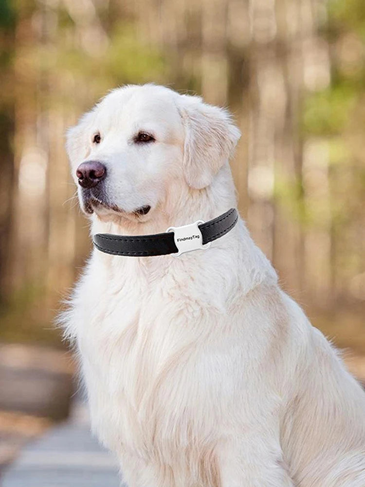 Mini Pet GPS Tracker Waterproof Bluetooth-compatible