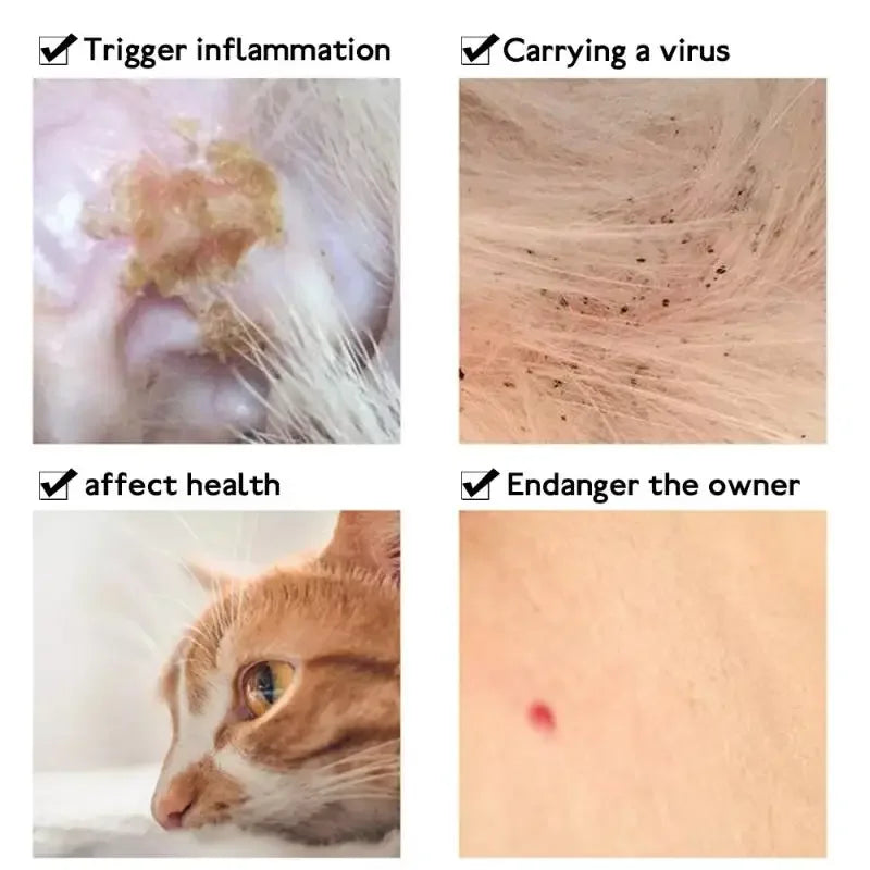 Pet Flea Collar