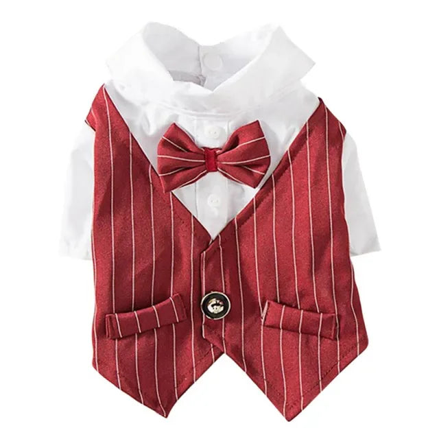 Gentleman Dog Suit Bow Tie Clothes