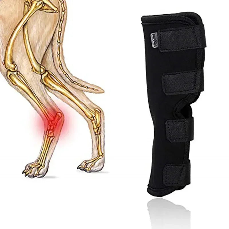 Bandages Dog Injurie Leg Knee Brace Strap