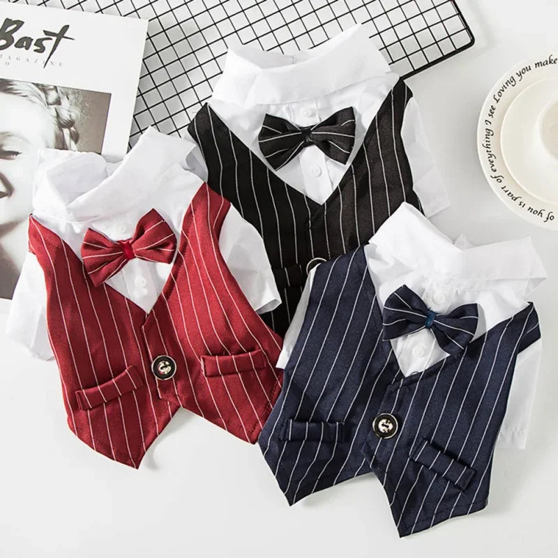 Gentleman Dog Suit Bow Tie Clothes