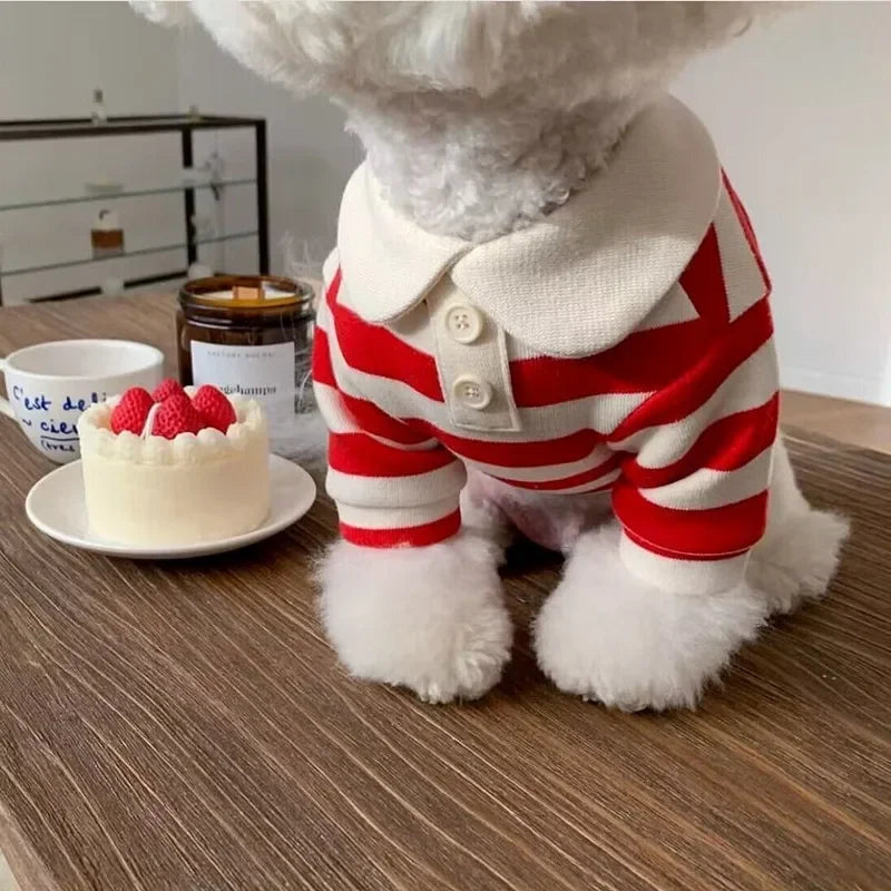 Polo Summer T-Shirt Soft Pullover for Puppy