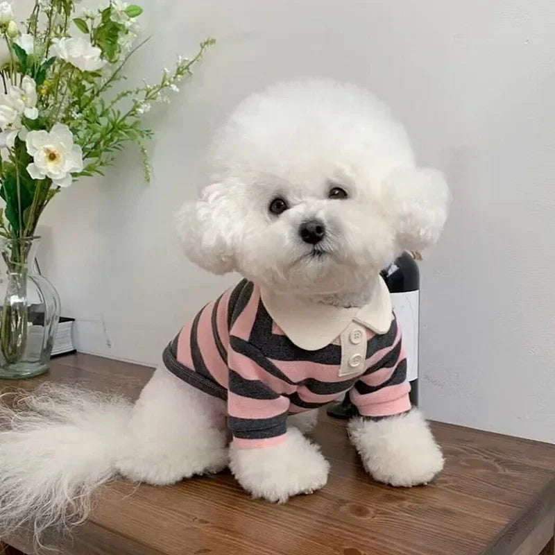 Polo Summer T-Shirt Soft Pullover for Puppy
