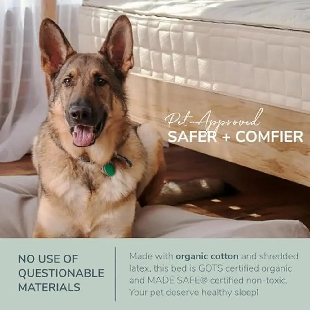 Organic Cotton Pet Bed XXL Plush Vegan Friendly
