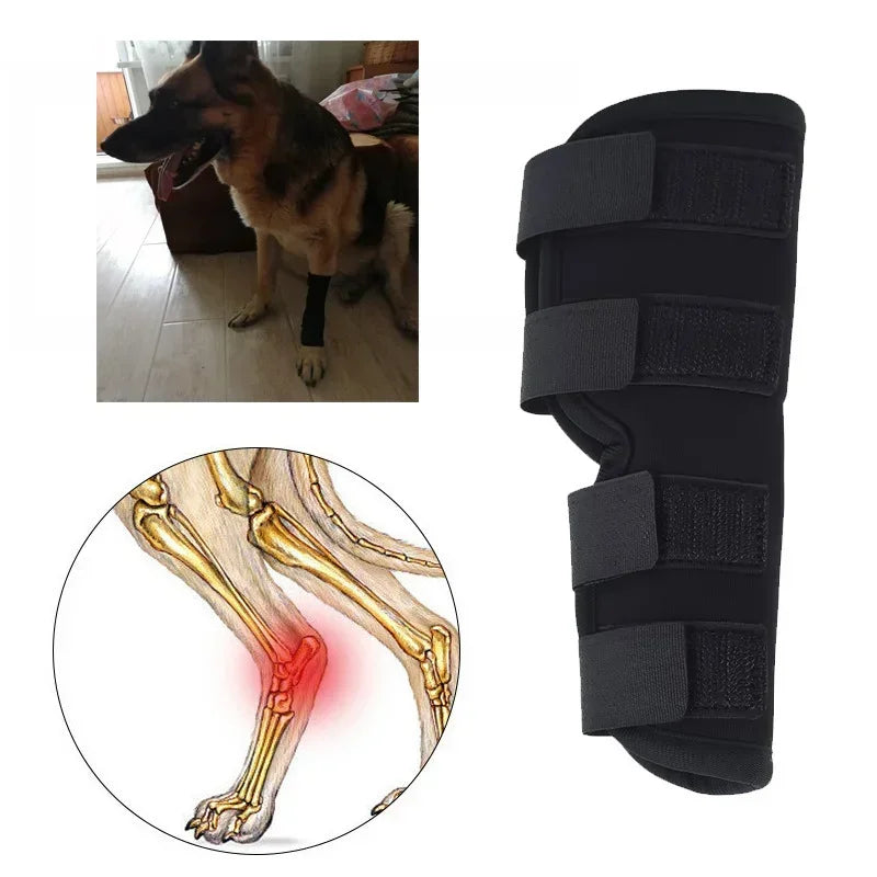 Bandages Dog Injurie Leg Knee Brace Strap