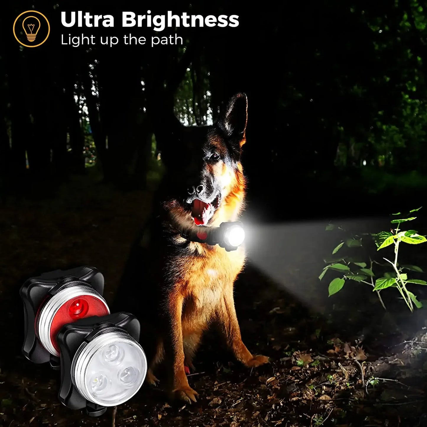 Night Safety Led Dogs Flashlight Collar Harness