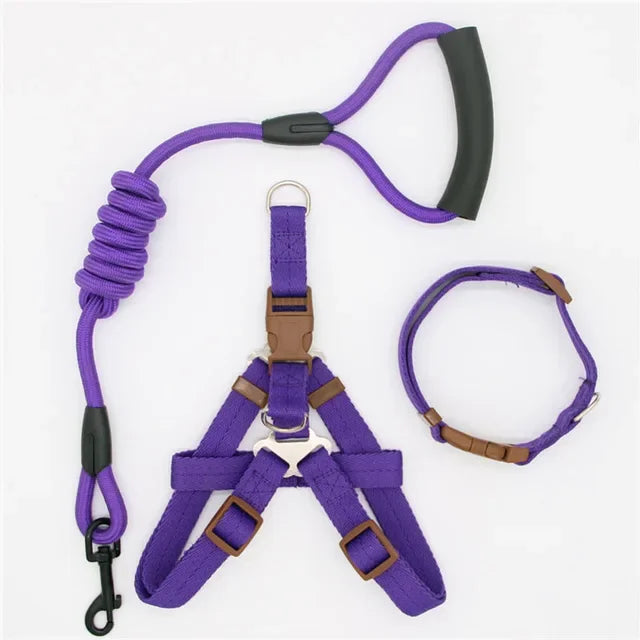 Nylon Pet Leash for Running or Training