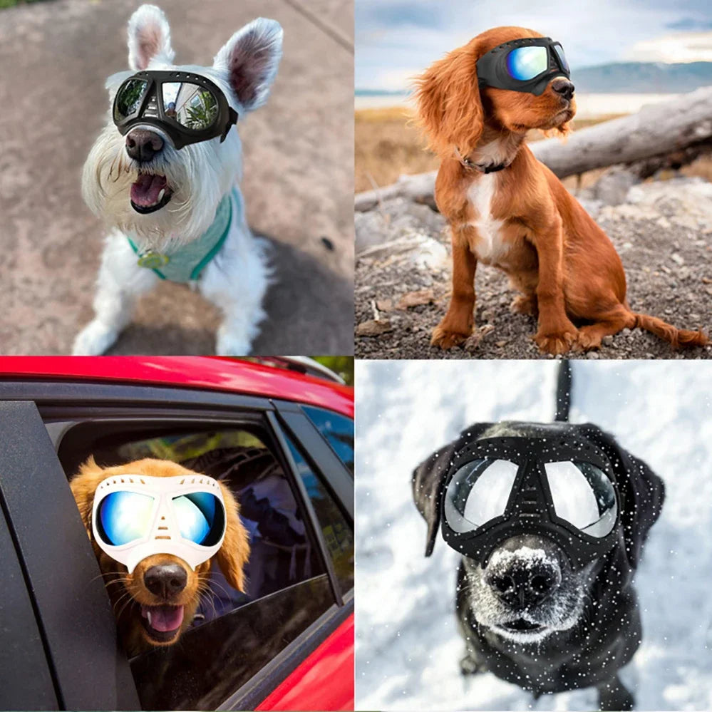 Cool Dog Sun Glasses UV Protection Goggles