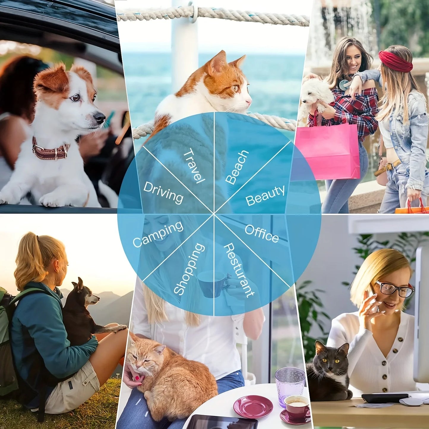 4-Way Expandable Pet Carrier, Airline Approved Foldable