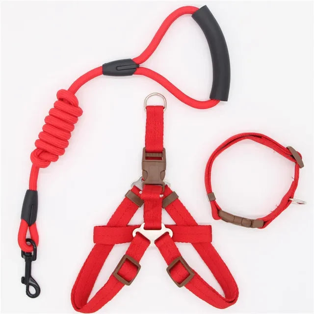 Nylon Pet Leash for Running or Training