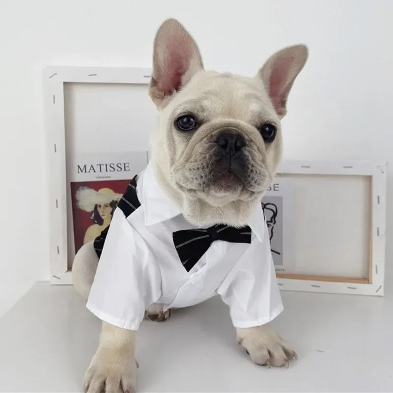 Gentleman Dog Suit Bow Tie Clothes