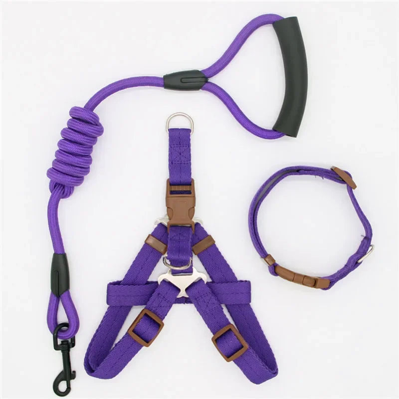 Nylon Pet Leash for Running or Training