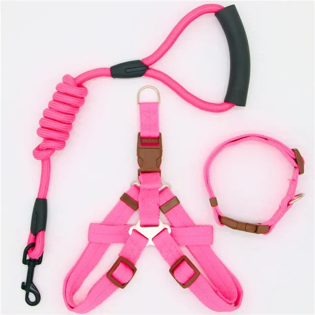 Nylon Pet Leash for Running or Training
