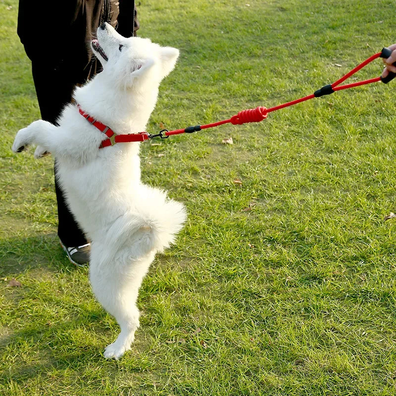 Nylon Pet Leash for Running or Training
