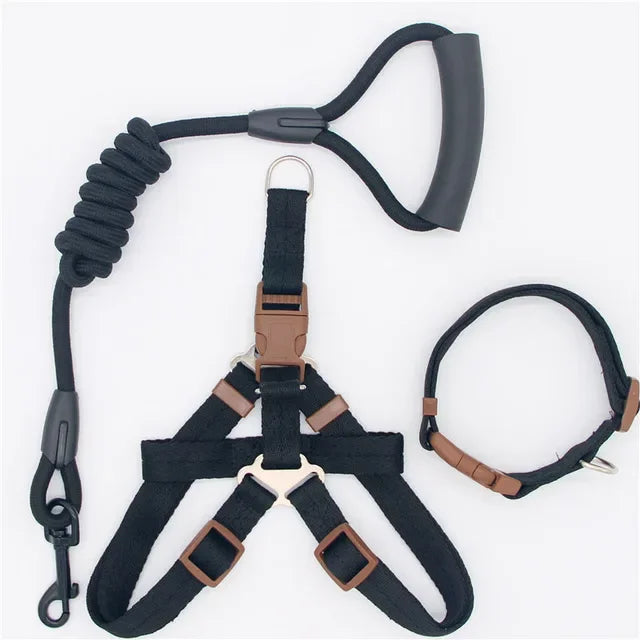 Nylon Pet Leash for Running or Training
