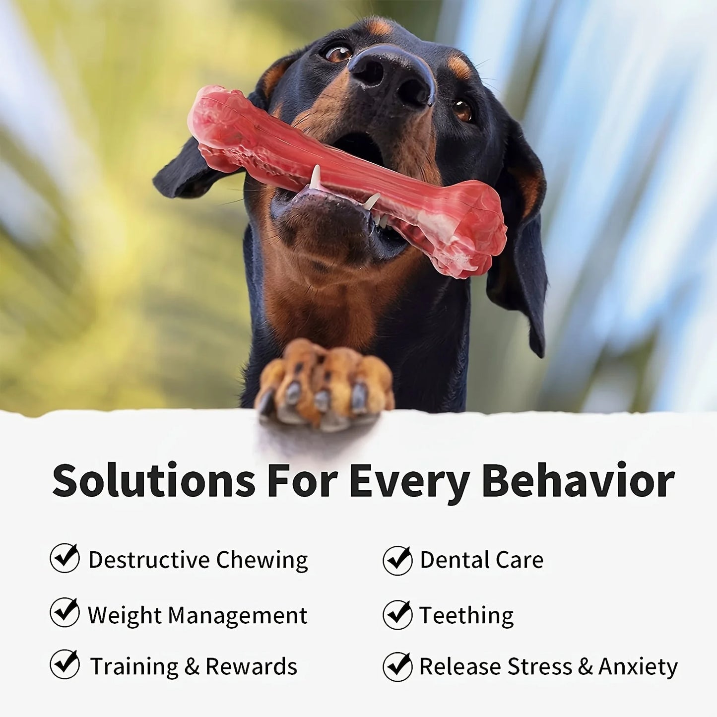 Durable Dog Chew Sturdy, Toy Non-Toxic