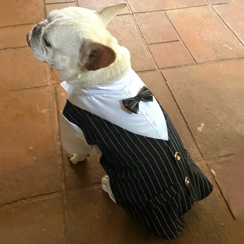 Gentleman Dog Suit Bow Tie Clothes