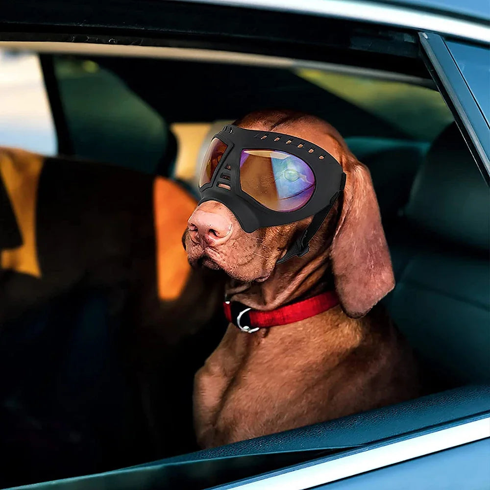 Cool Dog Sun Glasses UV Protection Goggles