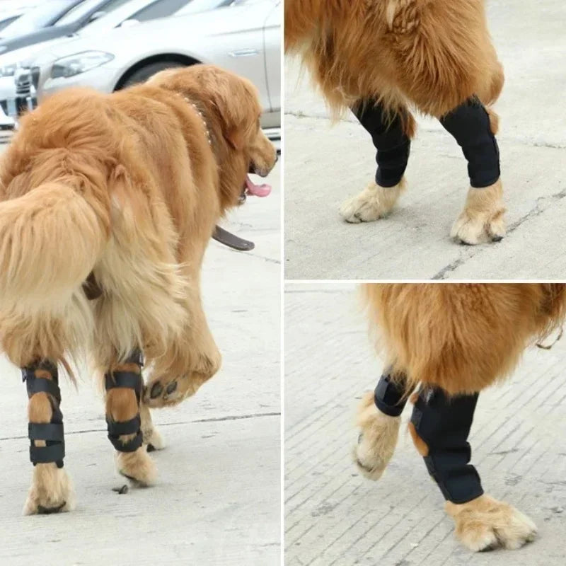 Bandages Dog Injurie Leg Knee Brace Strap