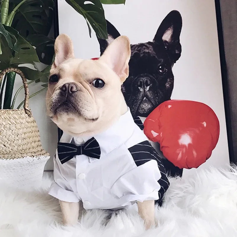 Gentleman Dog Suit Bow Tie Clothes