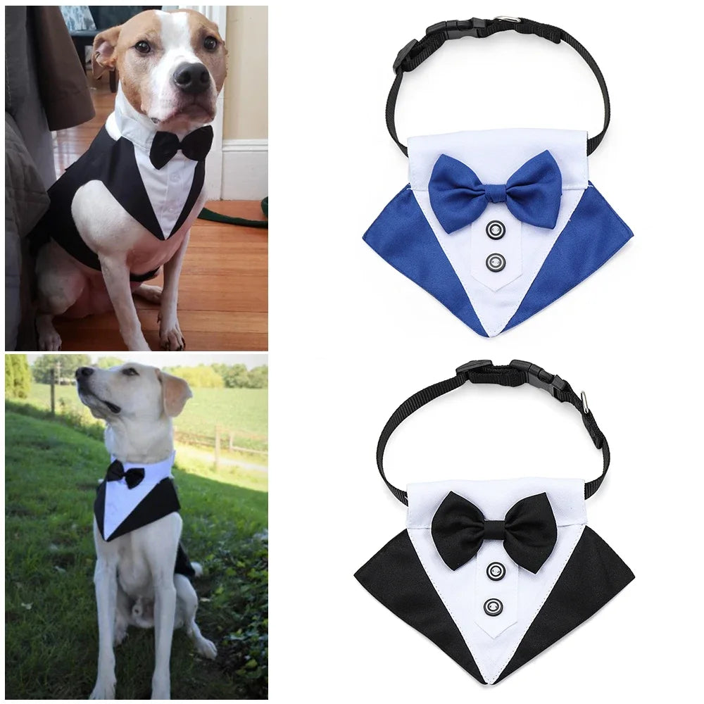 Pet Formal Necktie Tuxedo Bow Tie Collar