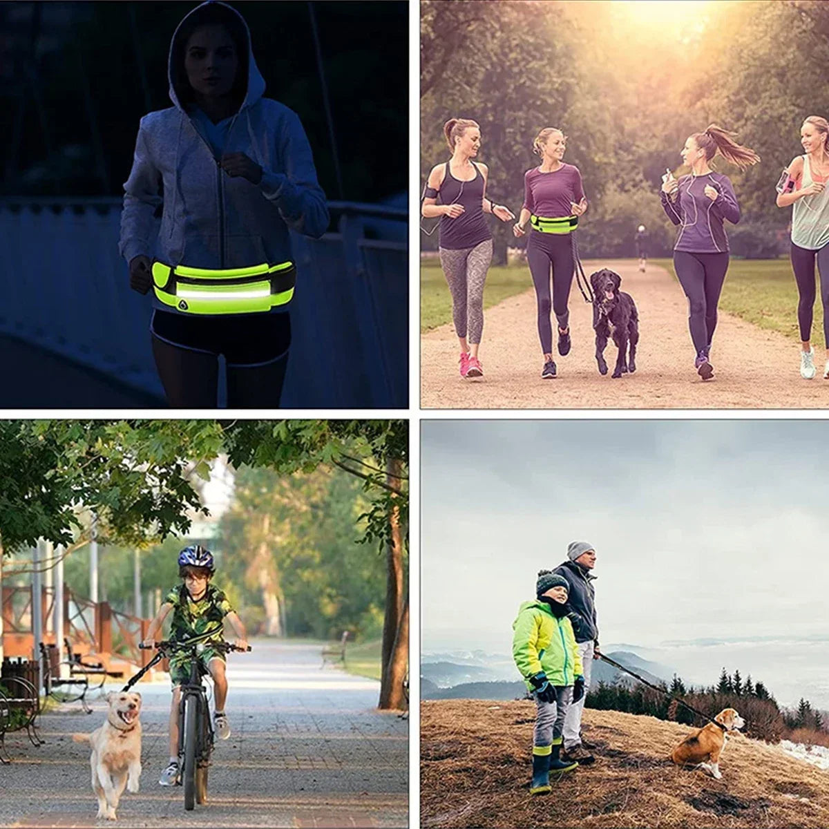 Hands Free Reflective Leash with Waist Bag