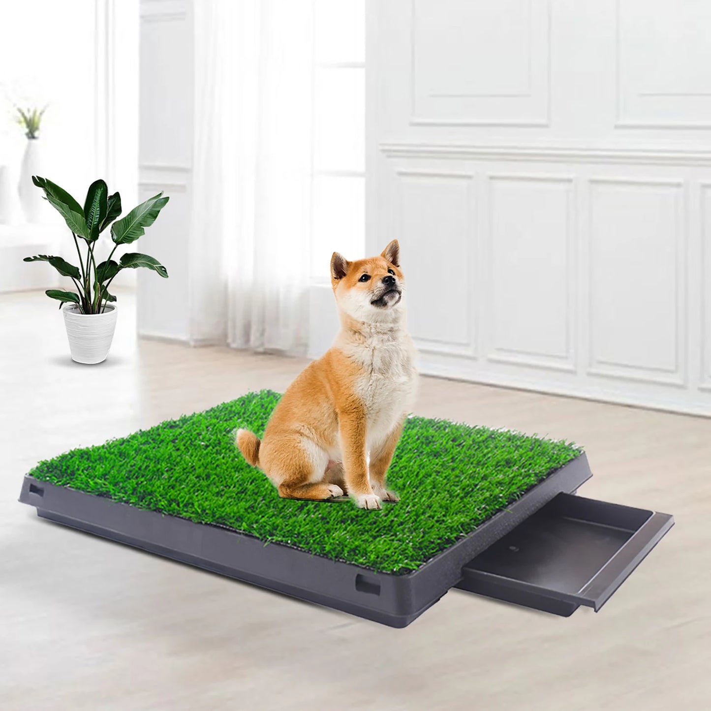 Artificial Grass Rug for Pet Toilet Training