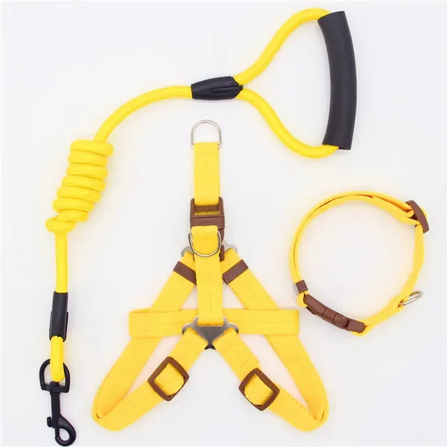 Nylon Pet Leash for Running or Training