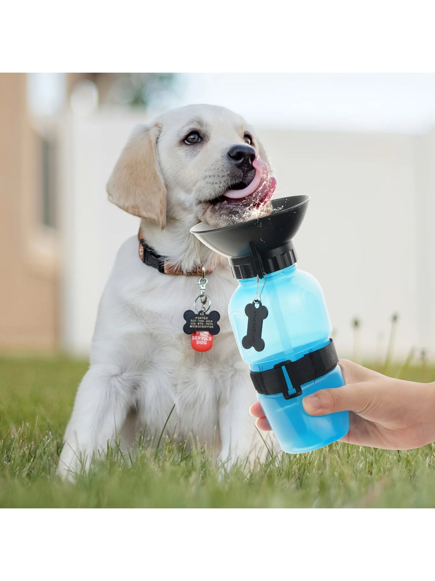 Portable Travel Water Bottle Dispenser  Dogs - Cats