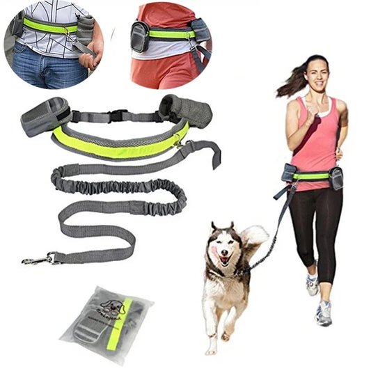 Pet  Reflective Belt Running Jogging Leash Set
