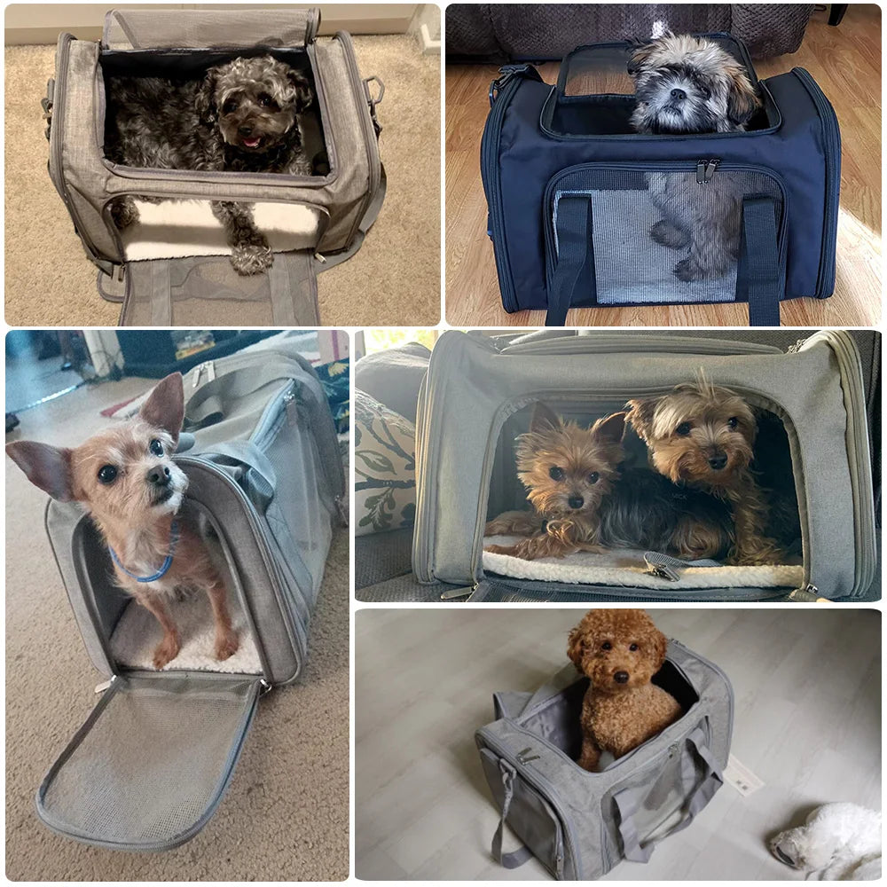 Pet Carriers Dog Travel Bags Airline Approved