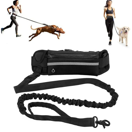 Hands Free Reflective Leash with Waist Bag