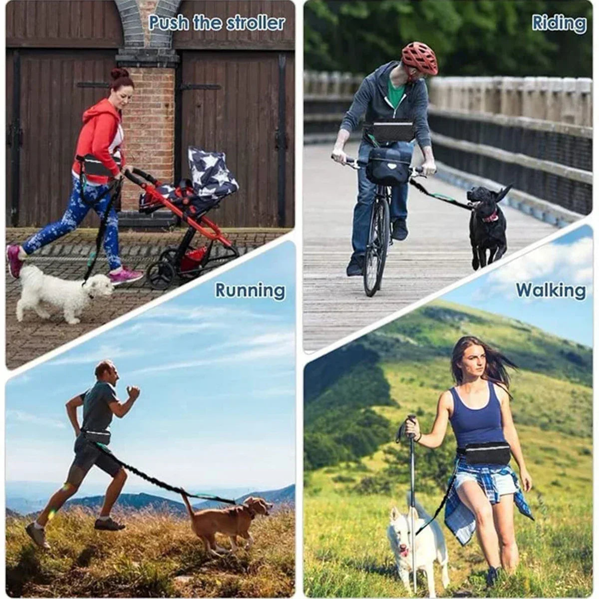 Hands Free Reflective Leash with Waist Bag