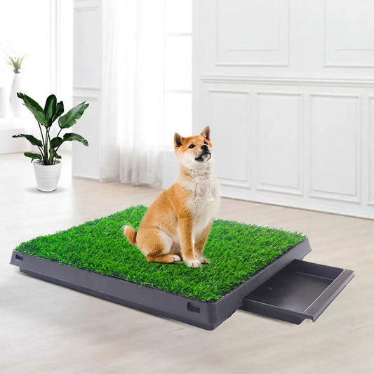 Artificial Grass Rug for Pet Toilet Training