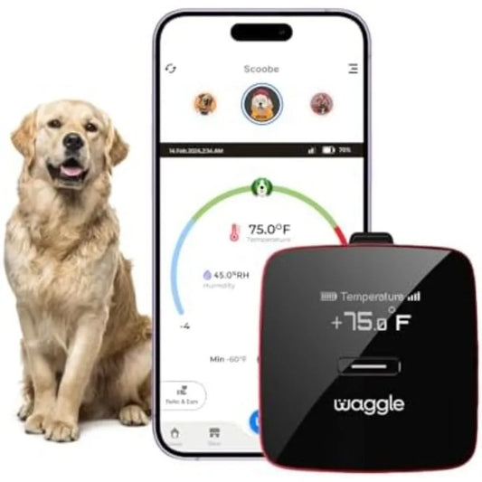 Pet Safety Temperature Monitor Alerts, GPS & Geofencing