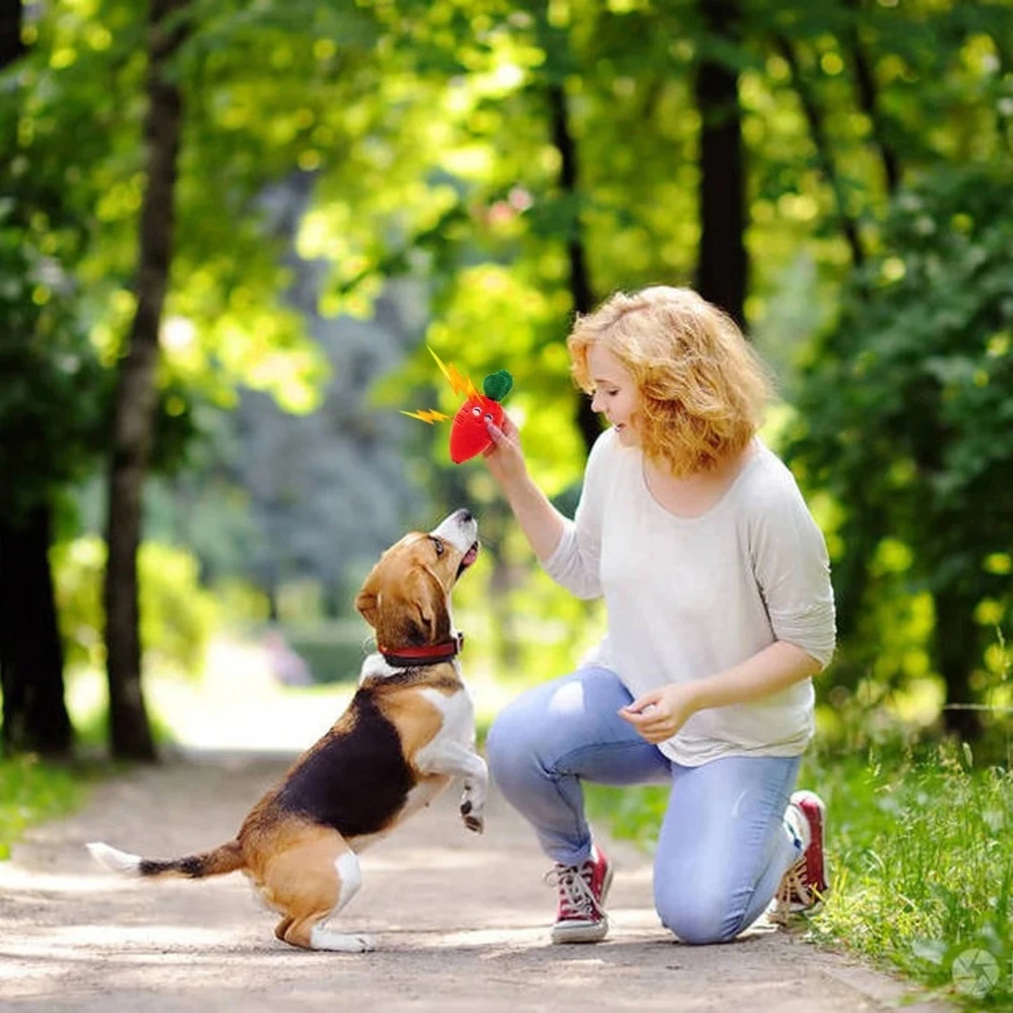 Interactive Entertaining Chewable Stuffed Squeaky Dog Toy